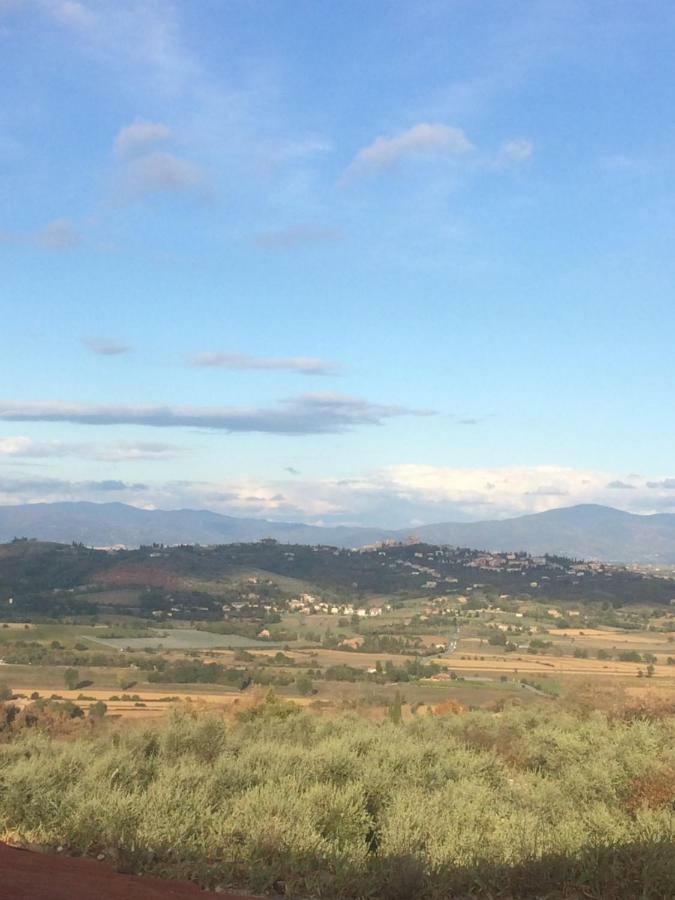 Mansarda Degli Ulivi Rigomagno Exterior foto