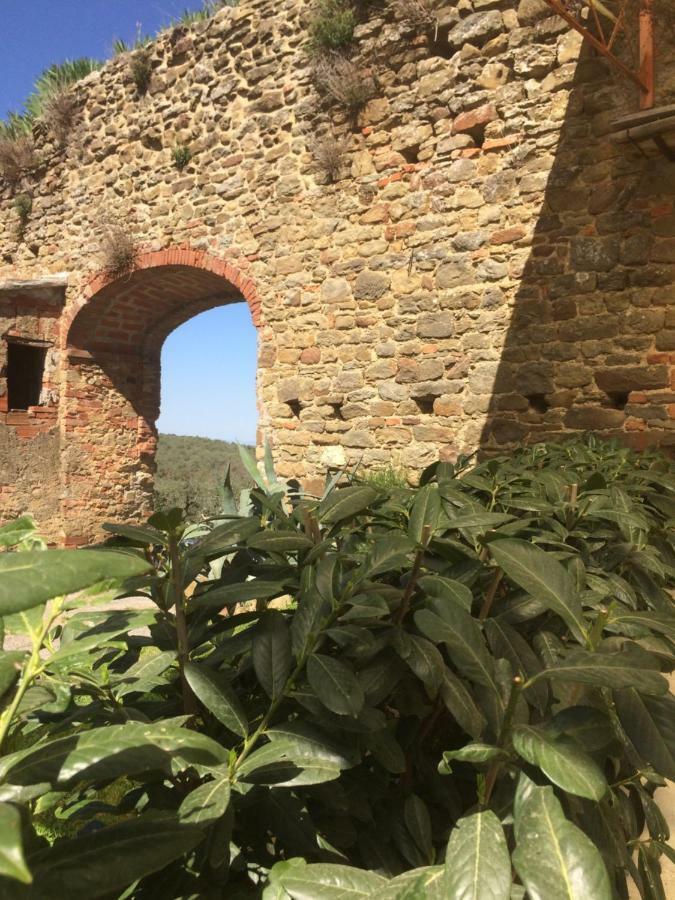 Mansarda Degli Ulivi Rigomagno Exterior foto