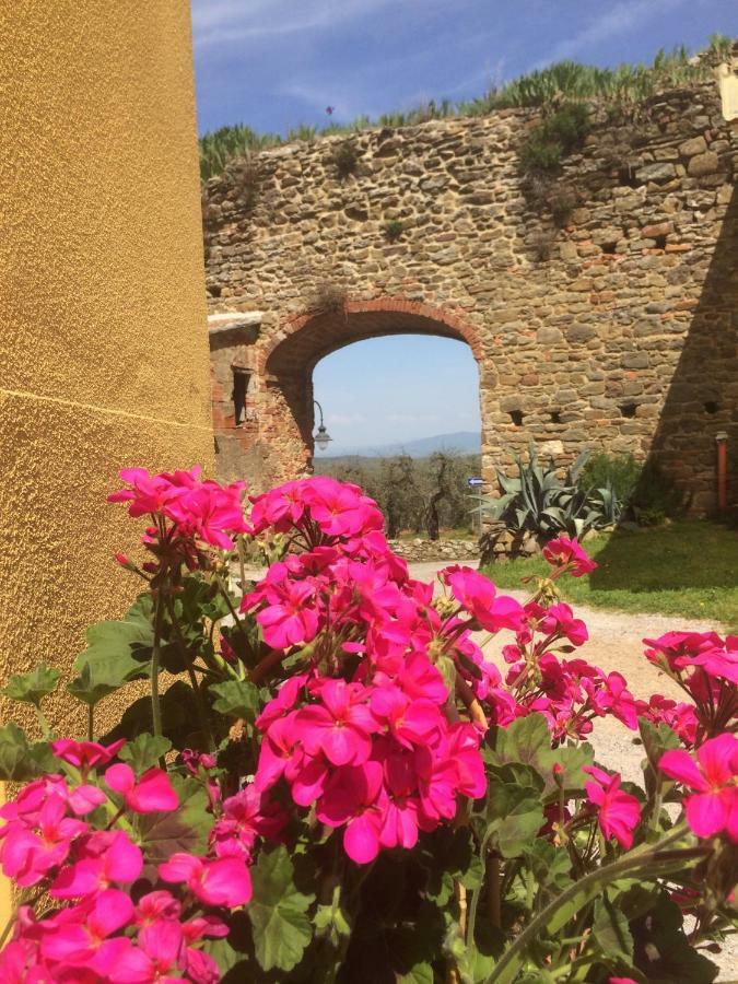 Mansarda Degli Ulivi Rigomagno Exterior foto