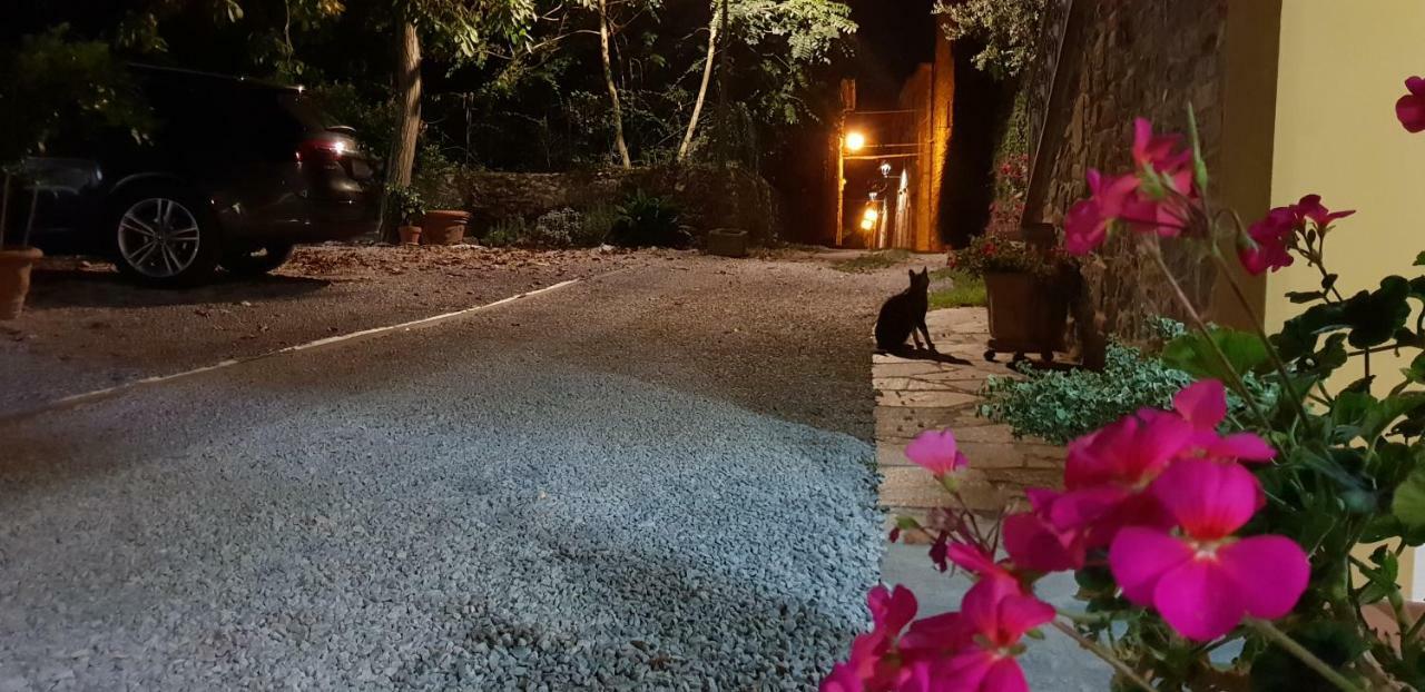 Mansarda Degli Ulivi Rigomagno Exterior foto